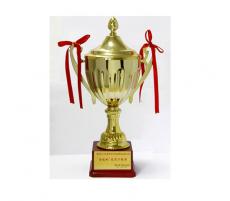 榮獲南京市政基礎(chǔ)設(shè)施工程“金陵杯”優(yōu)質(zhì)工程獎