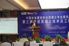 集團(tuán)在中冶建設(shè)協(xié)會(huì)第三屆交流大會(huì)上作主題報(bào)告